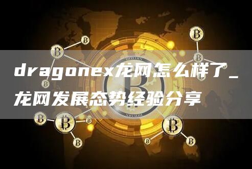 dragon龙网怎么样了_龙网发展态势经验分享